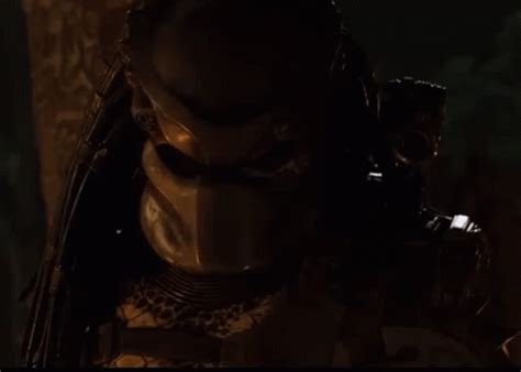 predator gif|predator laughing gif.